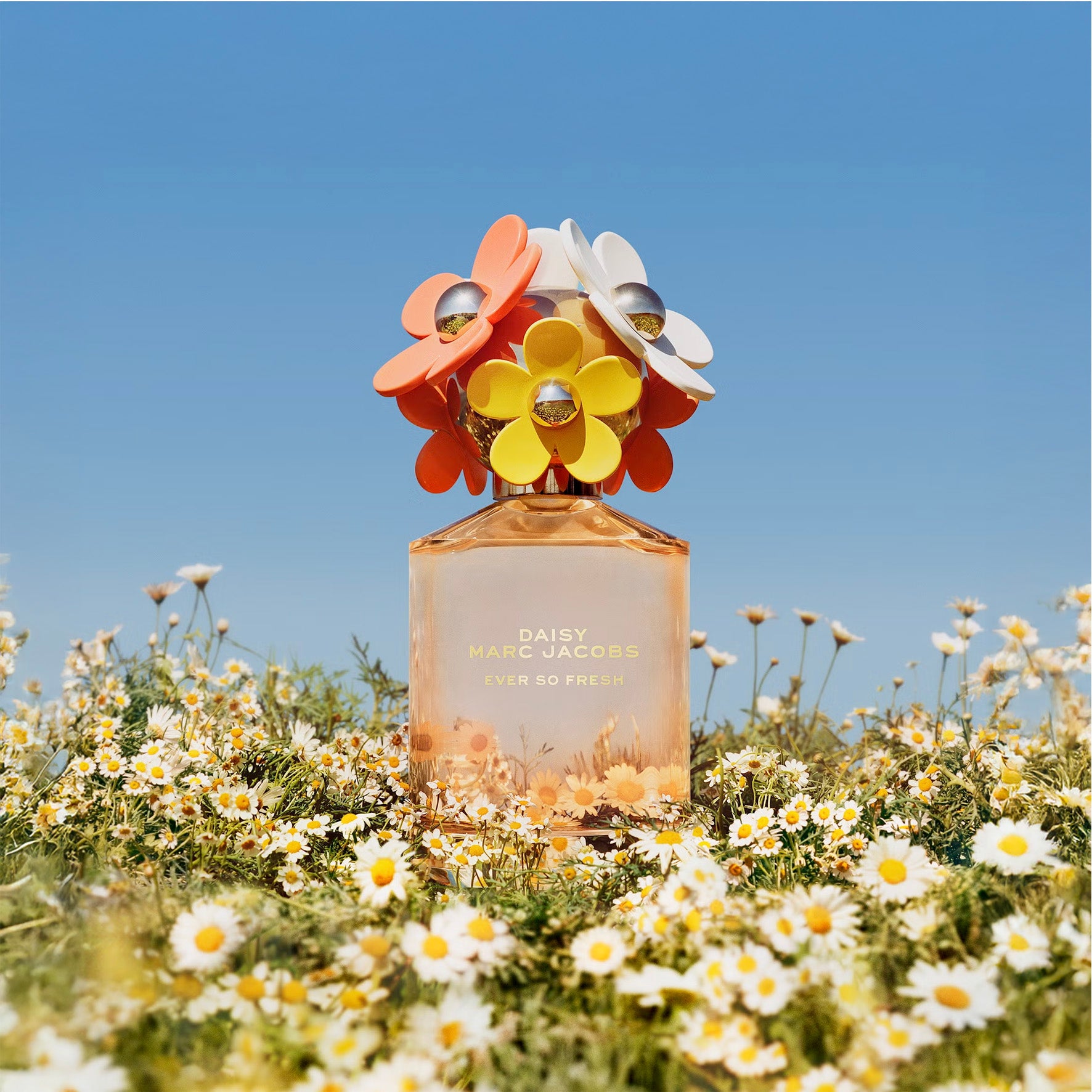 MARC JACOBS DAISY EVER SO FRESH