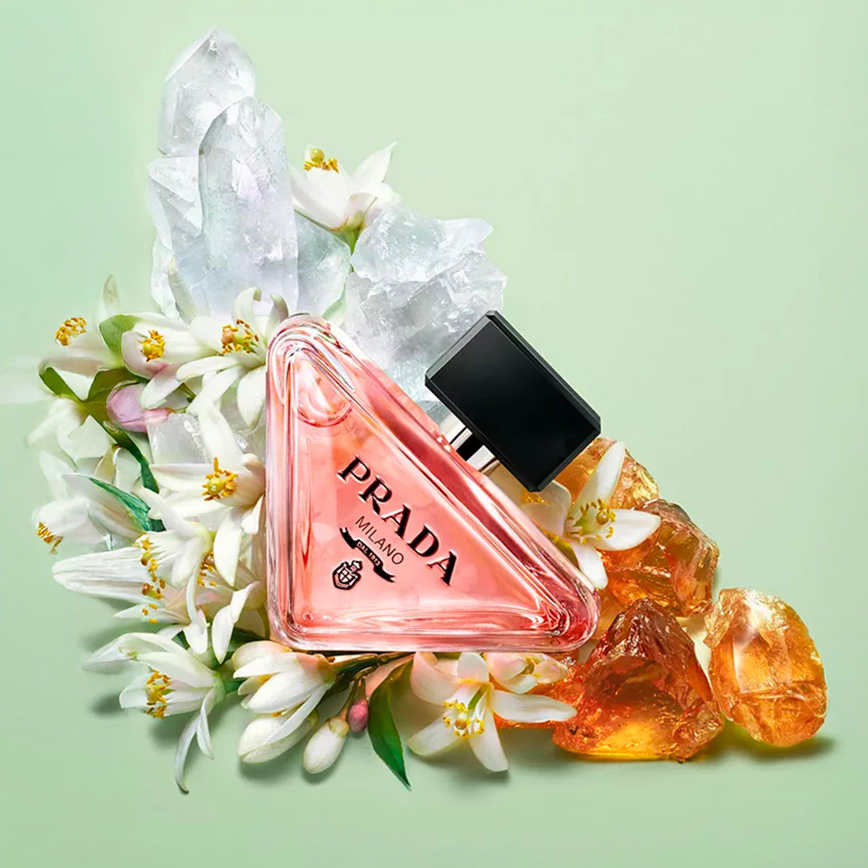 PRADA PARADOXE