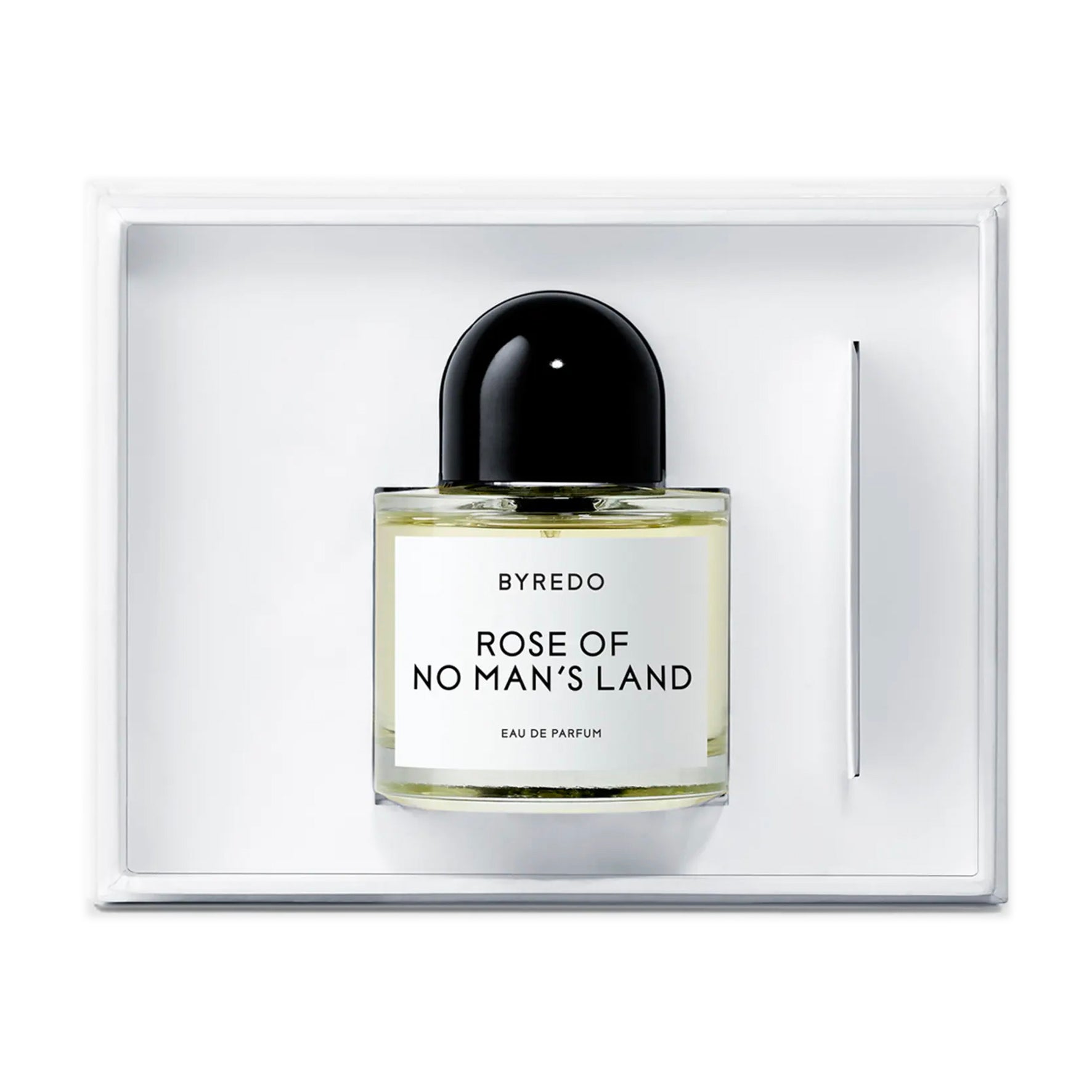 BYREDO ROSE OF NO MAN`S LAND