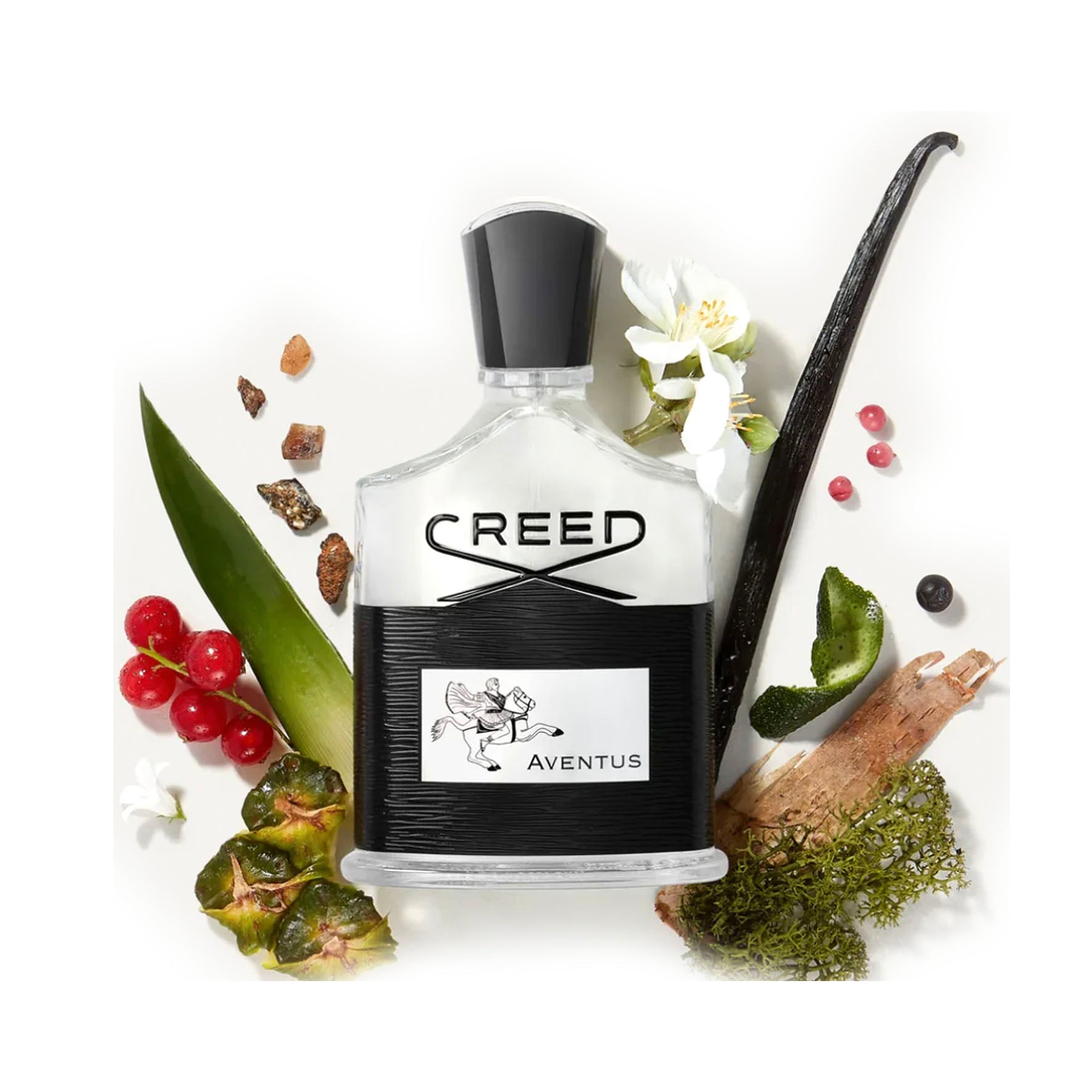 CREED AVENTUS